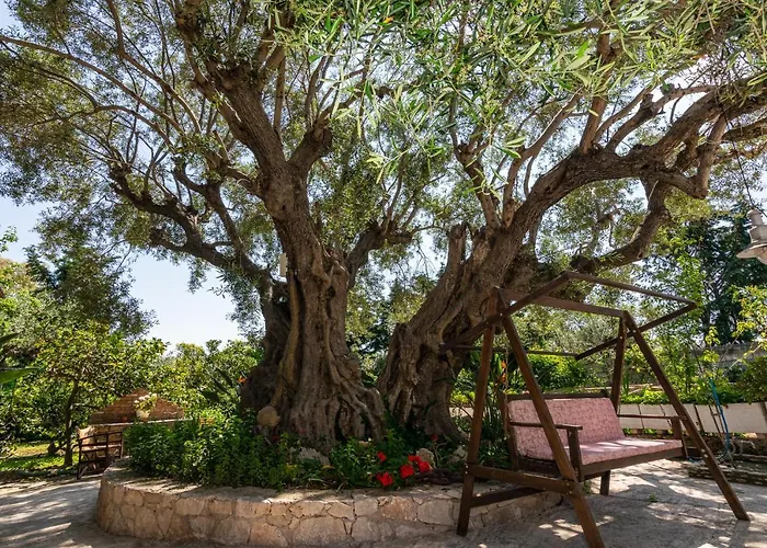 Dopia\'S Garden Studios